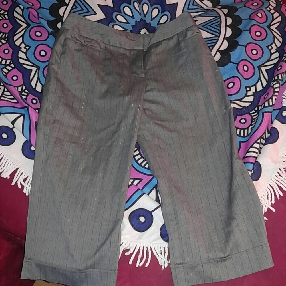 Dress capri pants